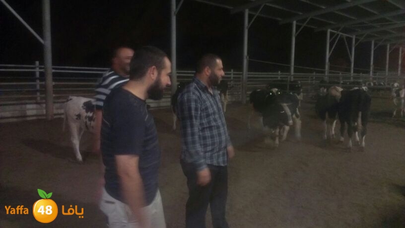 ada7y ready 110 (2).jpg